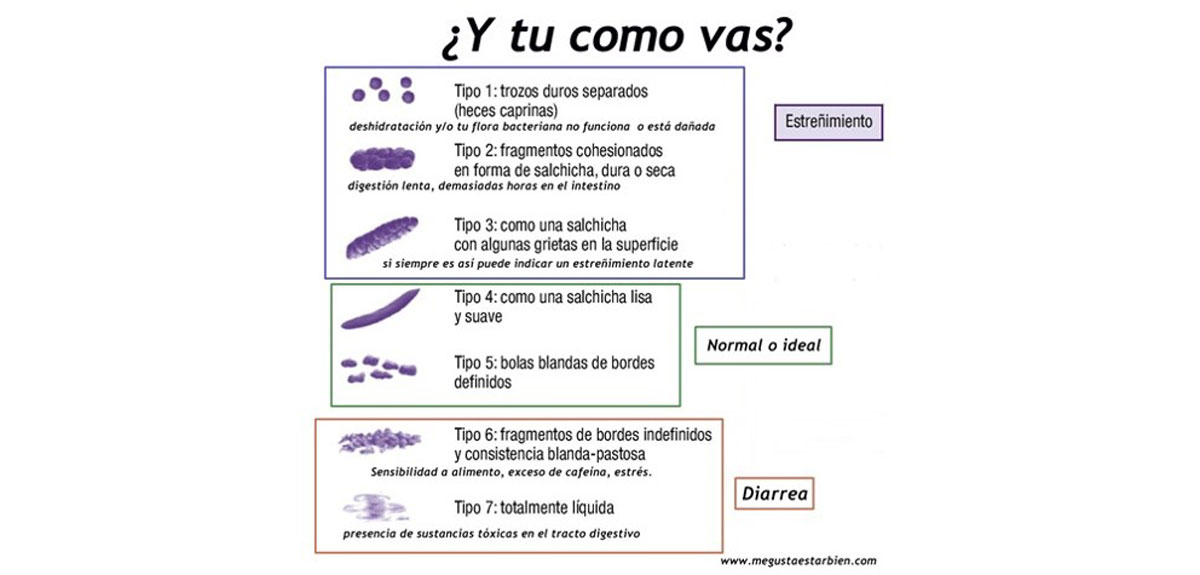 ESCALA DE HECES DE BRISTOL