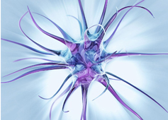 TERAPIA NEURAL 